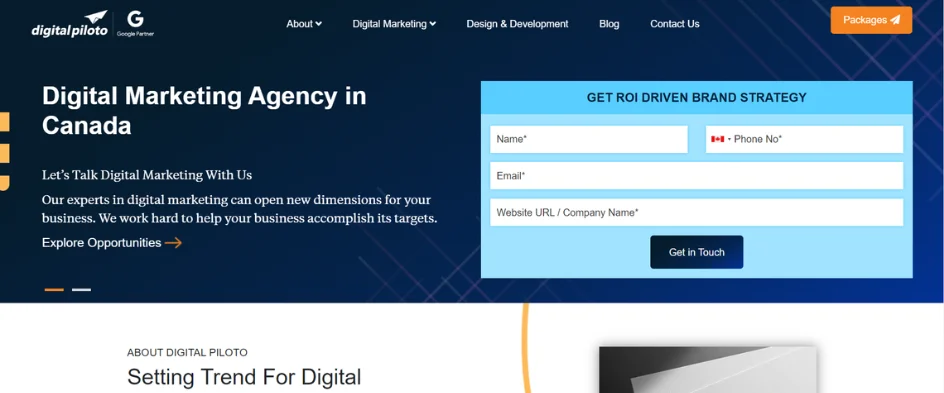 top digital marketing agency in canada - digital piloto